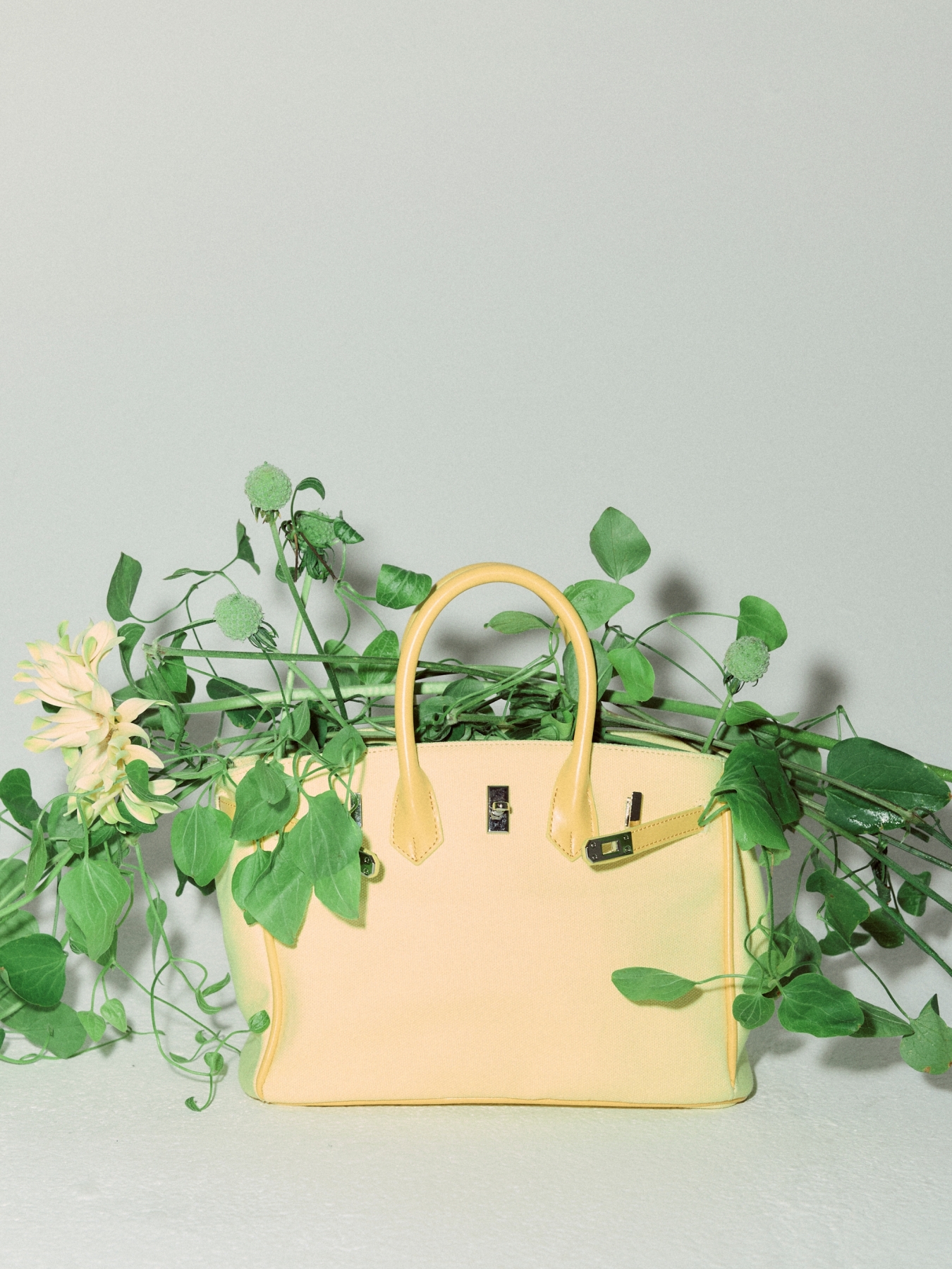 JANE 25 CANVAS BAG (LIMITED YELLOW)